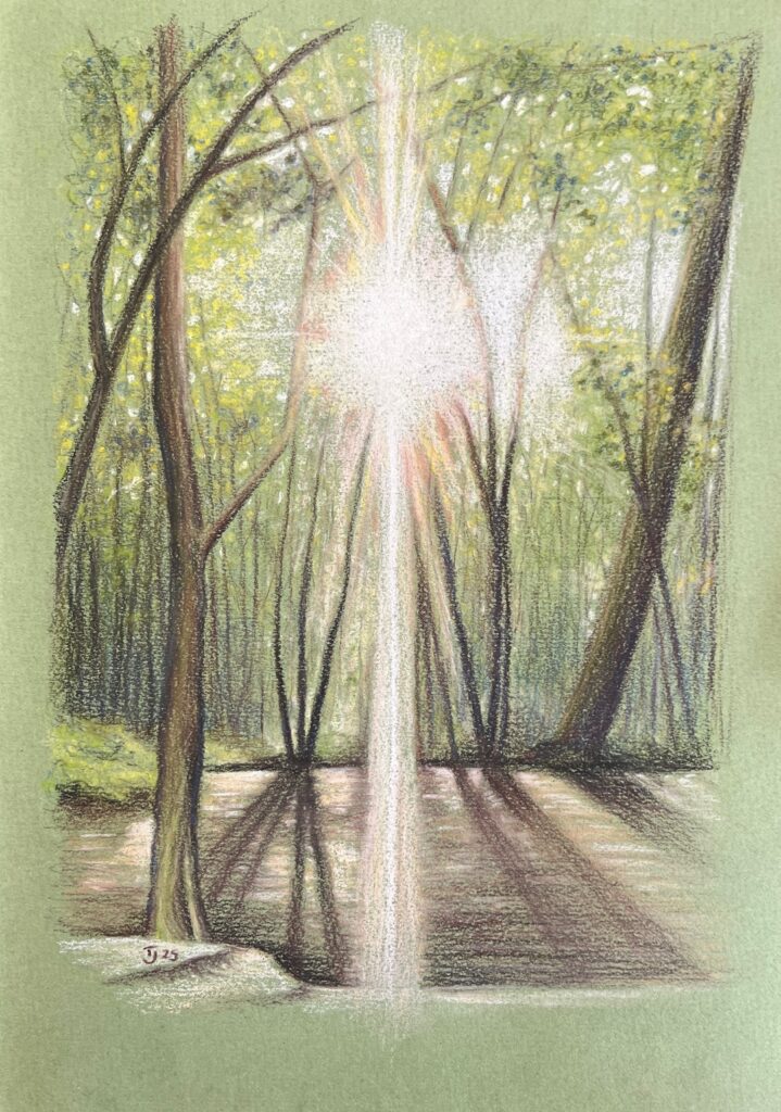 Bloomlight (2025)