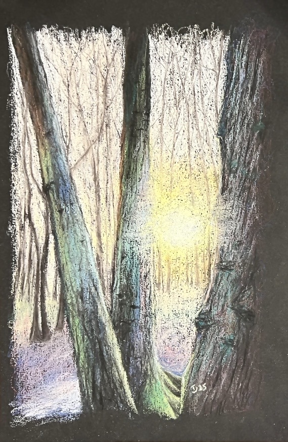 Day’s Eye (2025)