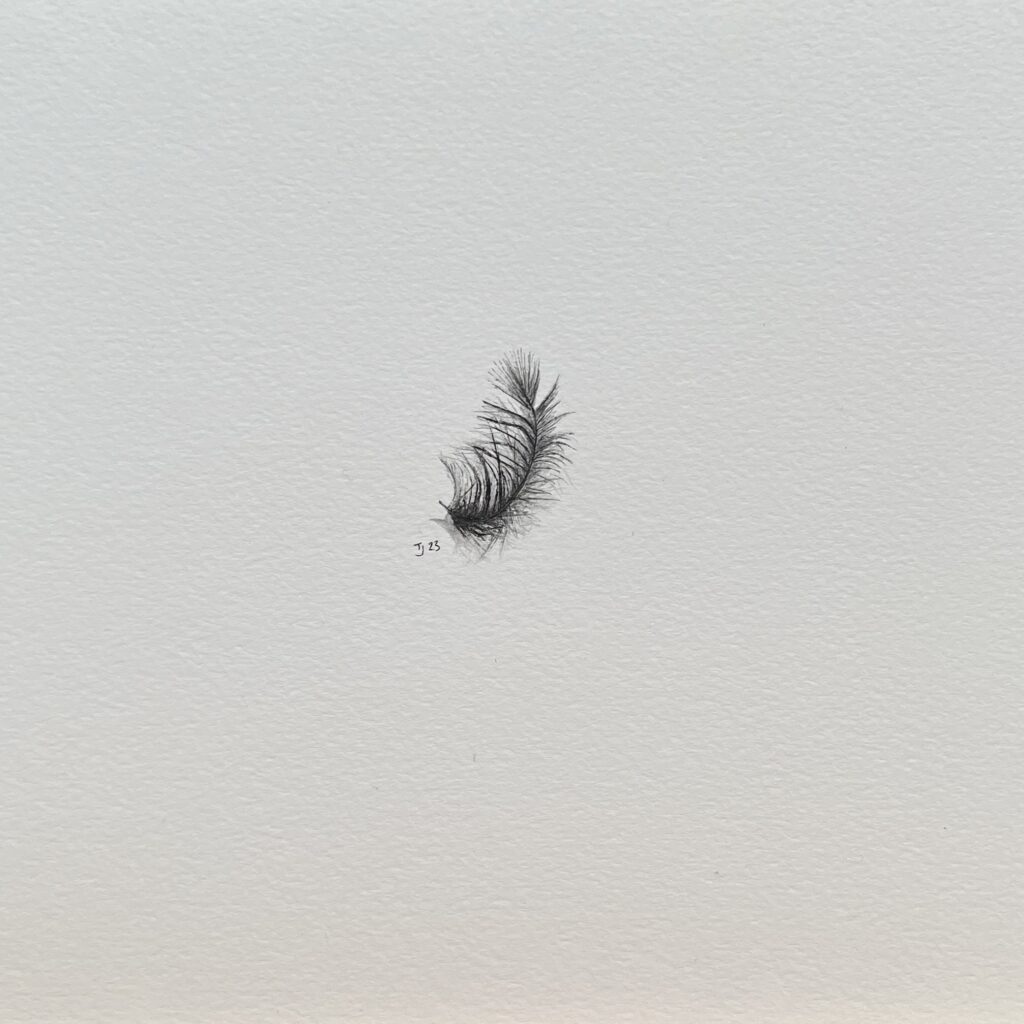 Emergence 3 (2023) (Tiny Feathers)