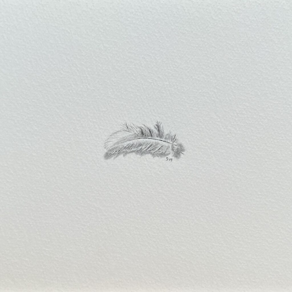 Permission 3 (2023) (Tiny Feathers)