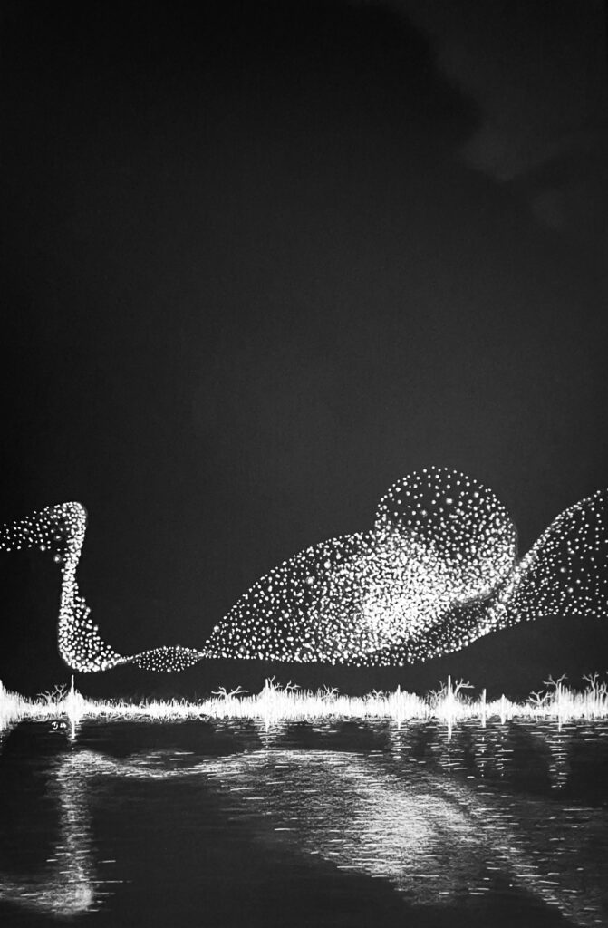 Release 2 (2024) (Celestial Murmurations)