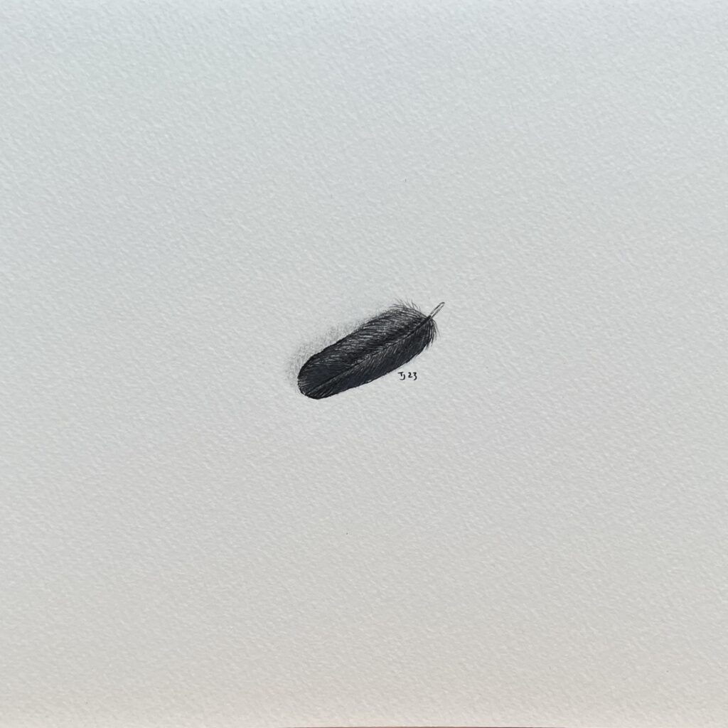 Release 3 (2023) (Tiny Feathers)