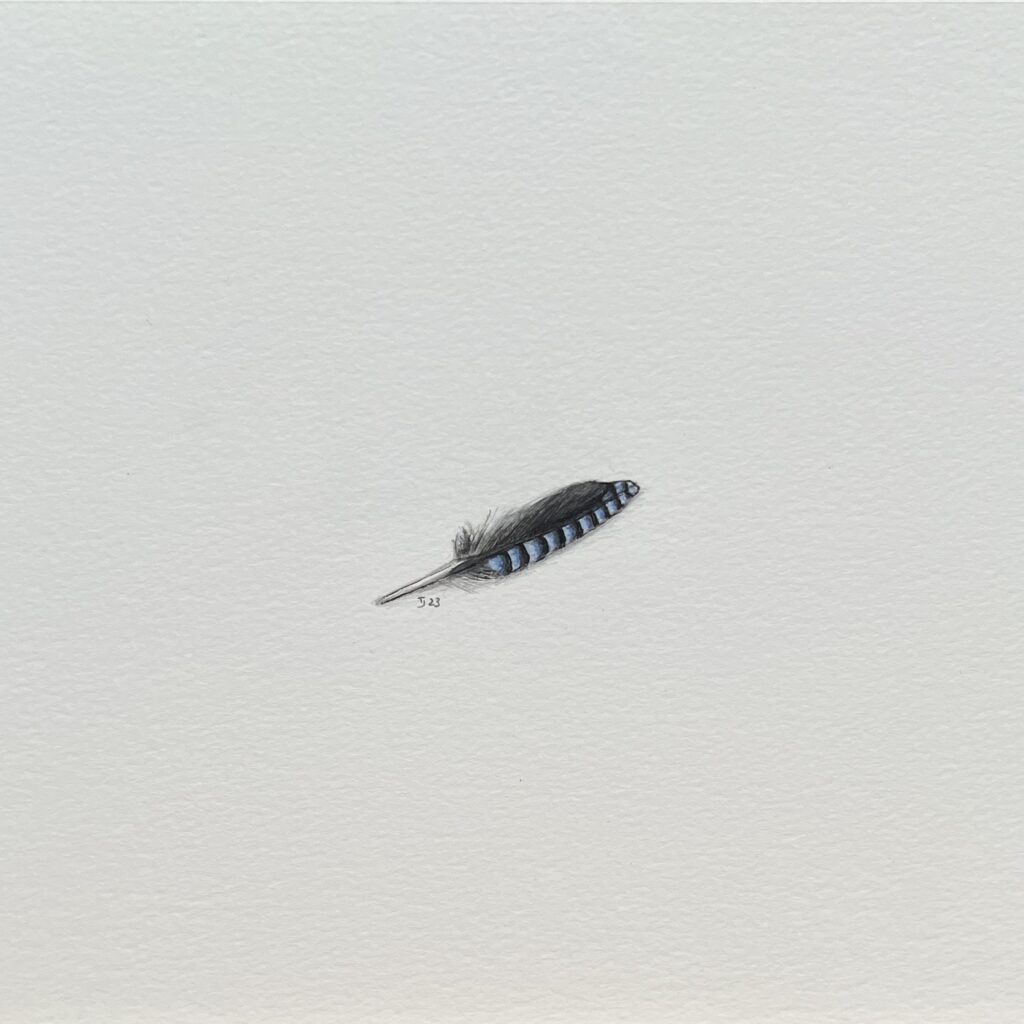Triumph 3 (2023) (Tiny Feathers)