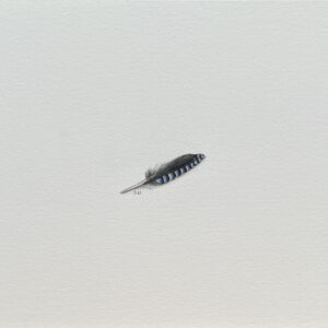 Triumph 3 (2023) (Tiny Feathers)